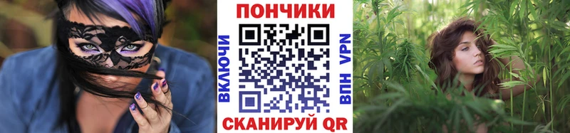 Бошки марихуана конопля Гулькевичи